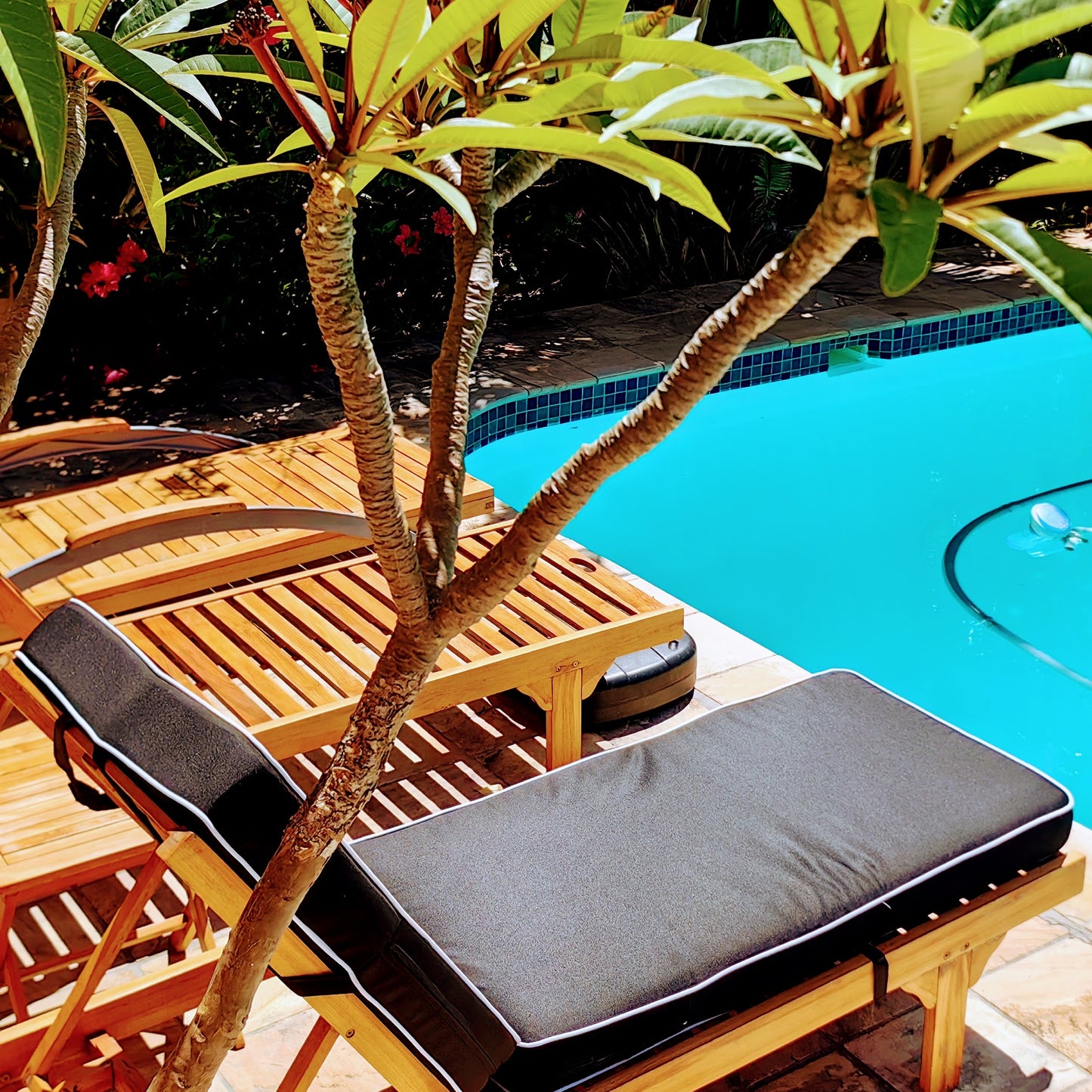 Pool Lounger Cushion Sets (2)