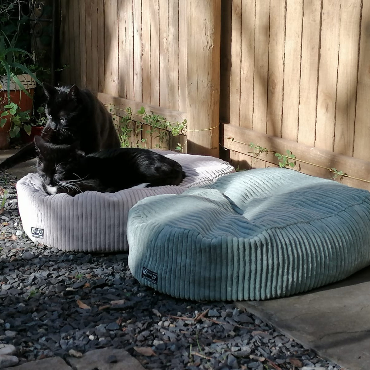 Pet Beds