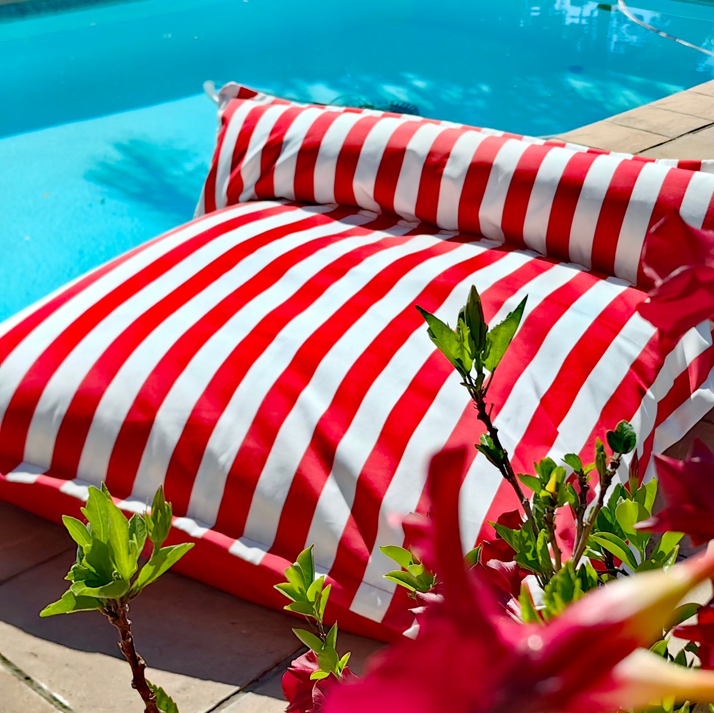 Aqua Loungers with Cushion - Covers
