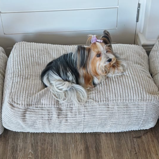 Pet Beds