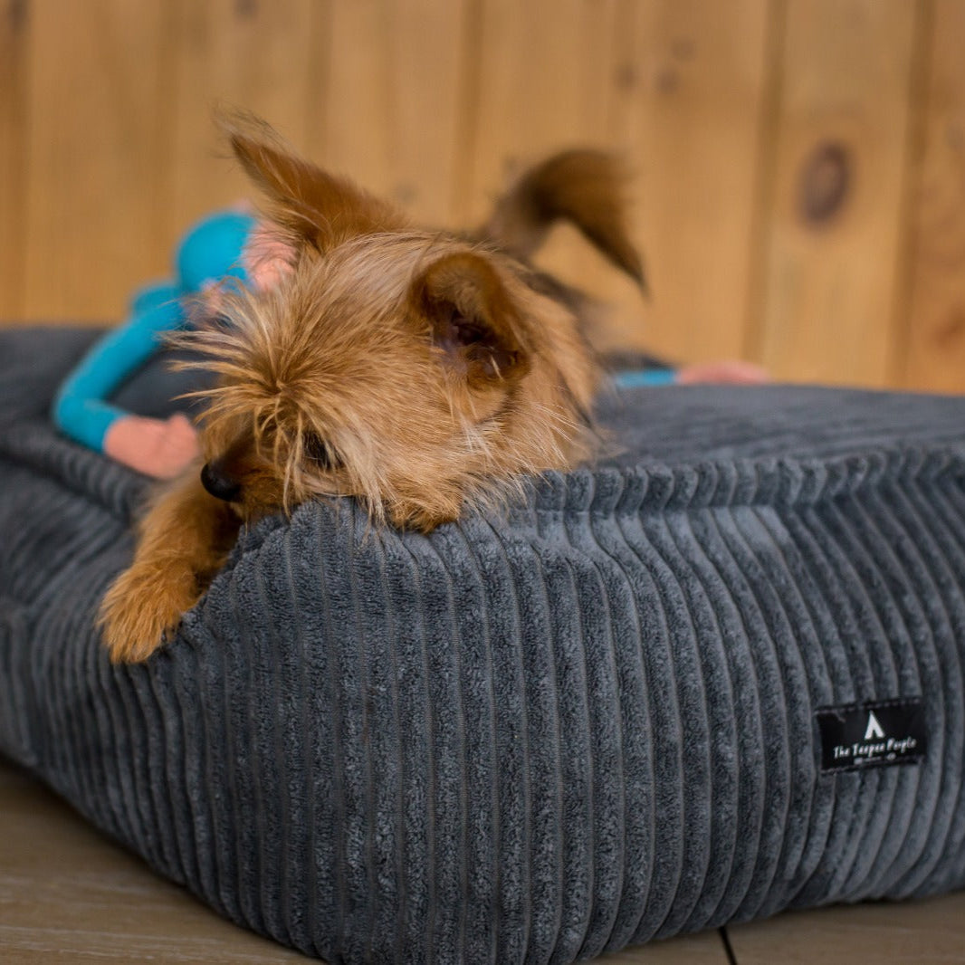 Pet Beds