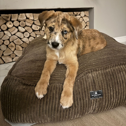 Pet Beds